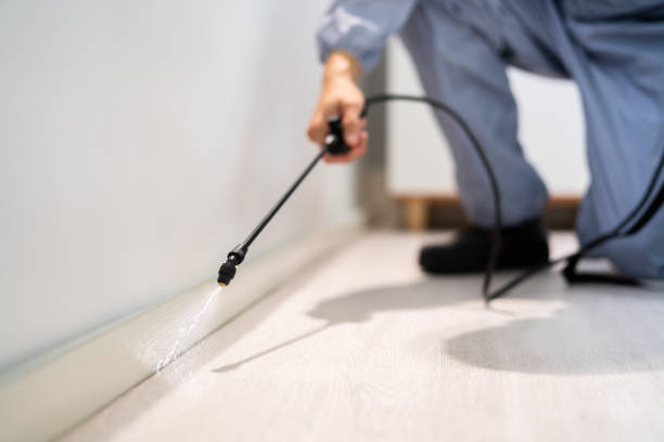 Licensed Cockroach Control service in Jackpot, NV - Nex Pest Control