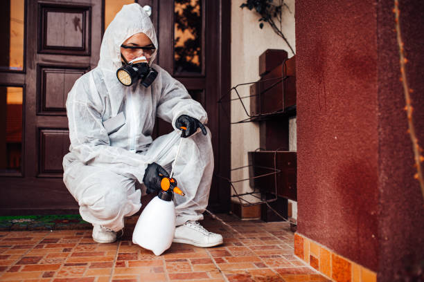 Reliable Cockroach Control contractor in Jackpot, NV by Nex Pest Control
